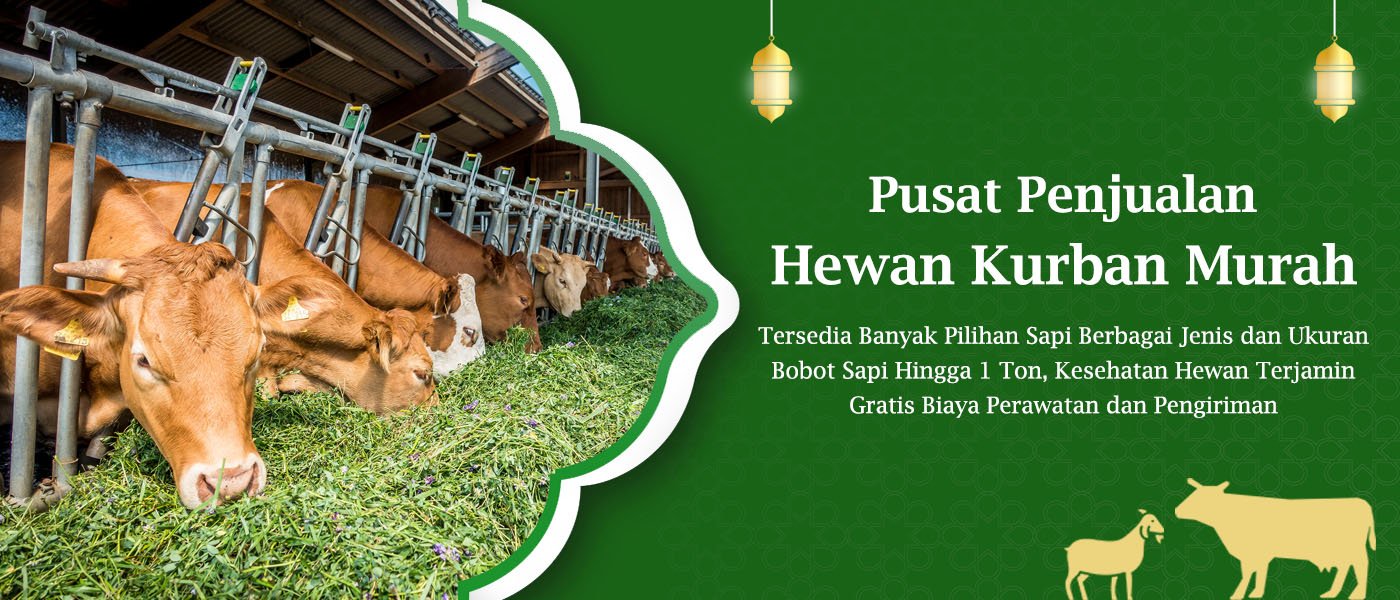 harga hewan kurban jakarta depok bekasi bogor tangerang